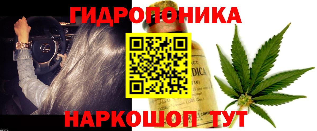 Бошки марихуана OG Kush  Вход с VPN  Канабис Amnesia  Кизляр 